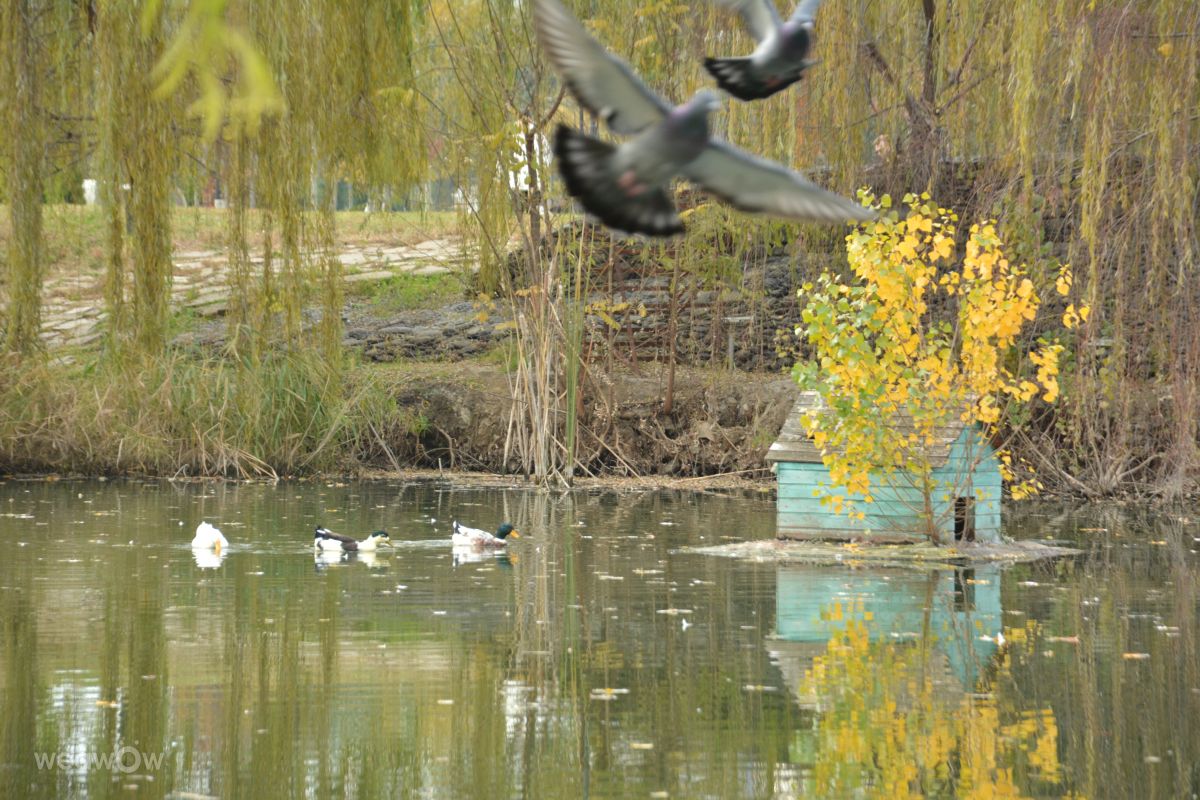 Fotos do tempo em Geórgia. Previsões do tempo com lindas fotos de amikophotograhy