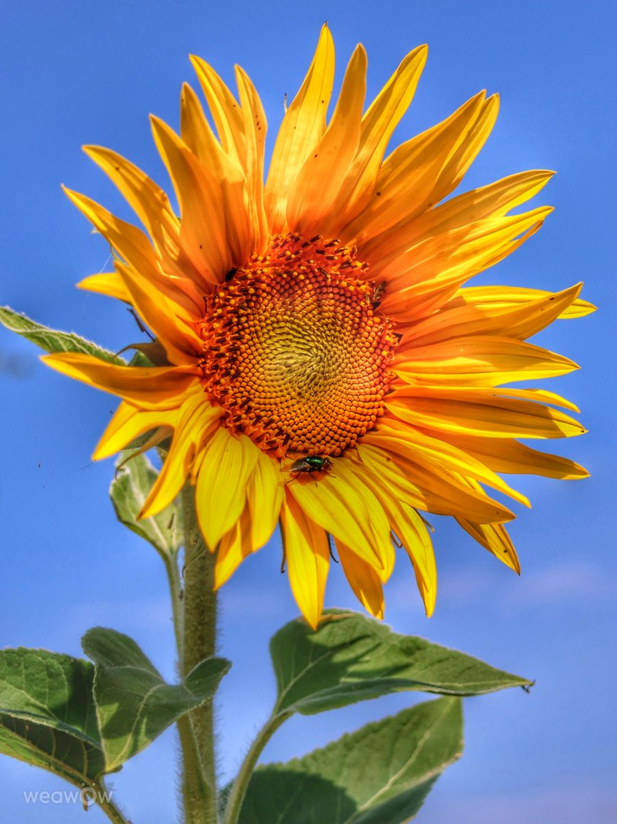 Weather Photos in Unna. Weather forecasts with beautiful photos by Mausbär