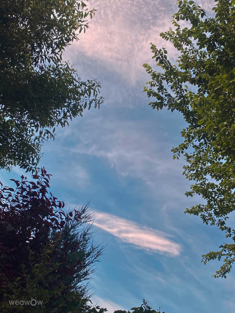 Photographe Lulu5523, Photos météo à le Plateau - Weawow