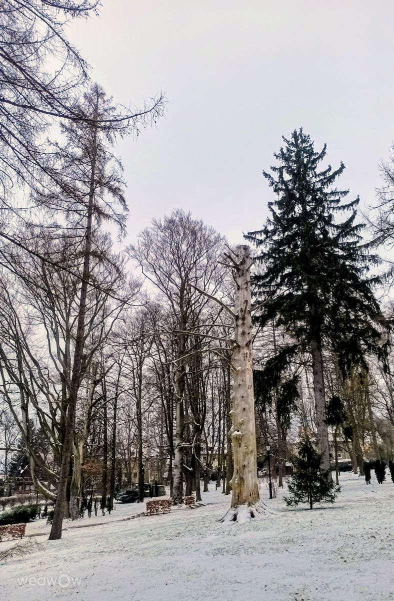 Wetter Photos Ladek Zdroj. Wettervorhersagen mit schönen Fotos von Kripo