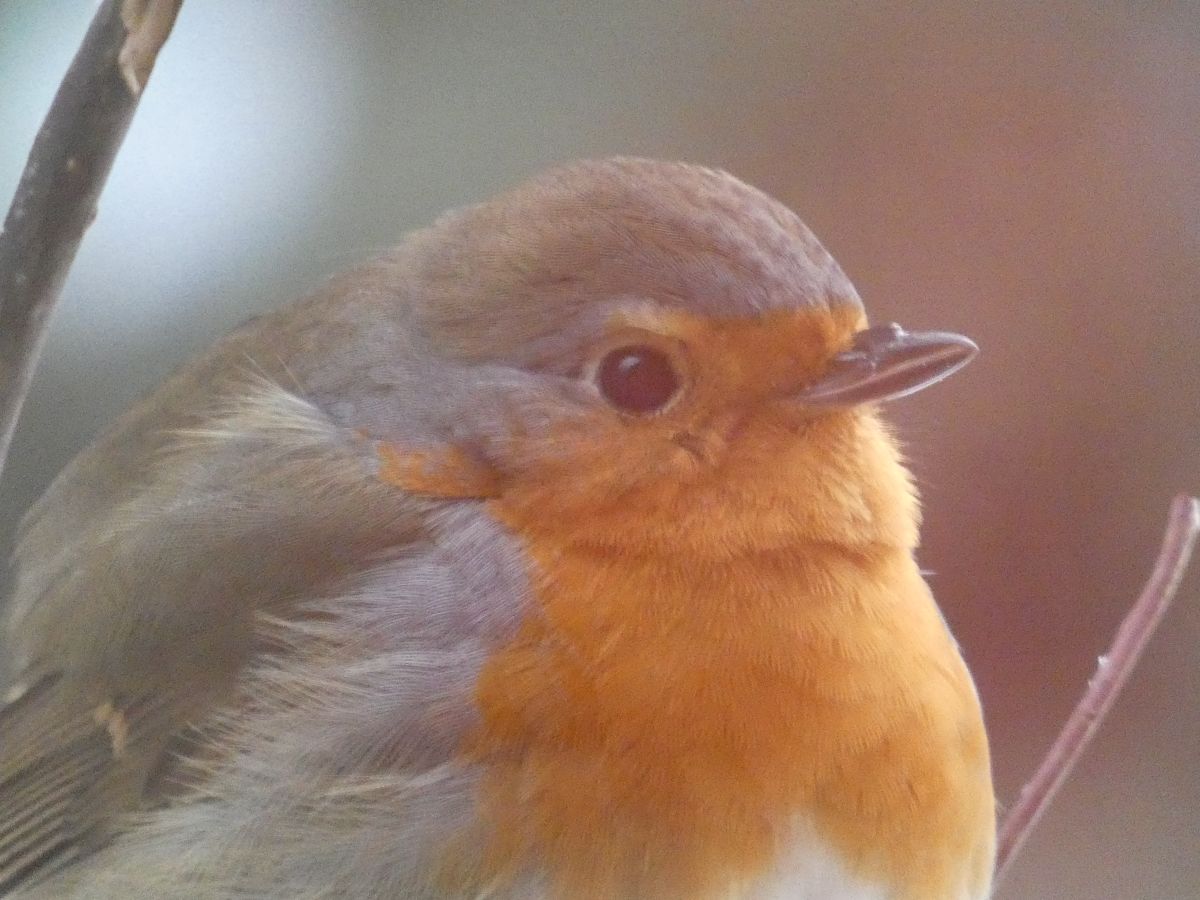 Фотографии Погоды в Нижняя Саксония. Прогнозы погоды с чудесными фотографиями, сделанными fwerner