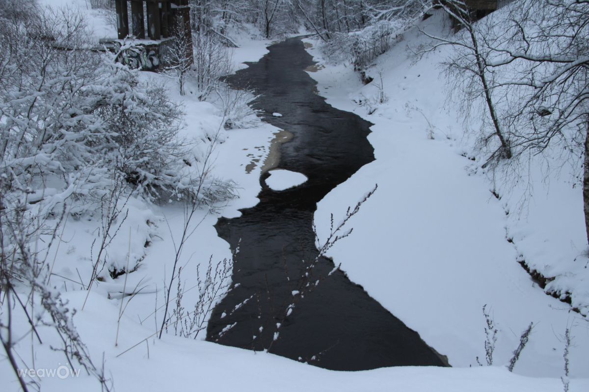 Weather Photos in Stantsiya Lavriki. Weather forecasts with beautiful photos by urubu