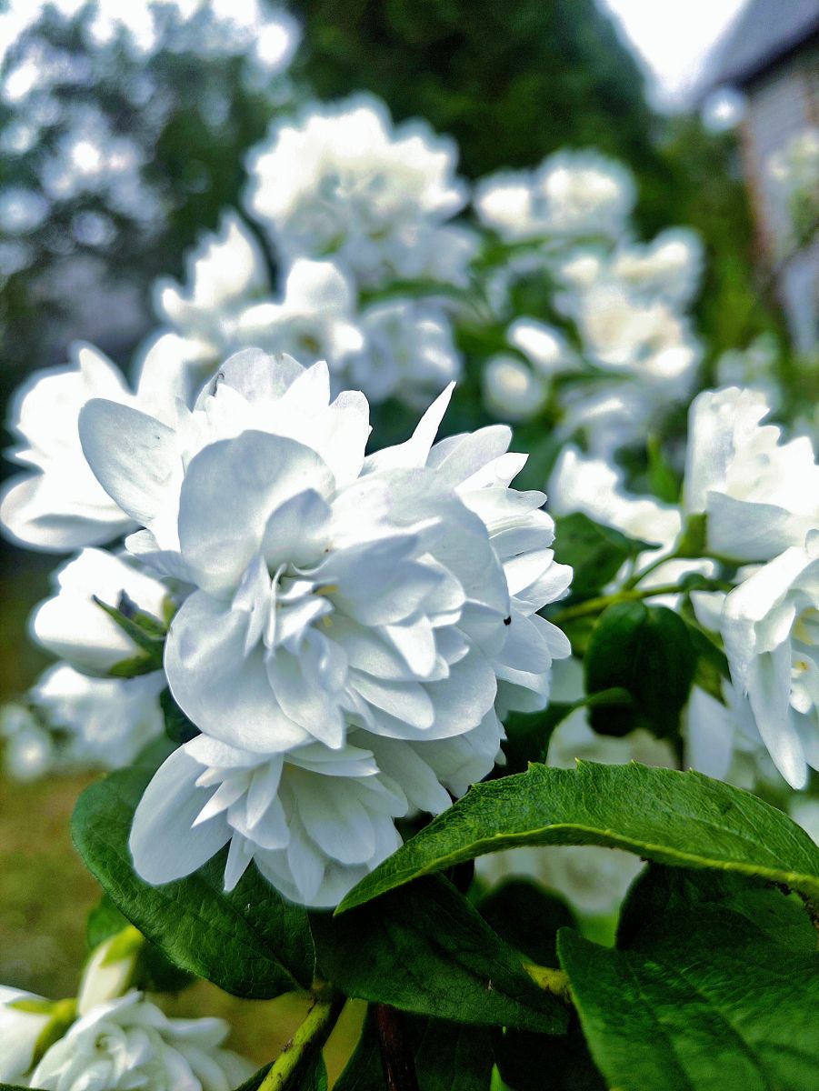 Weather Photos in Minsk. Weather forecasts with beautiful photos by Neckoby