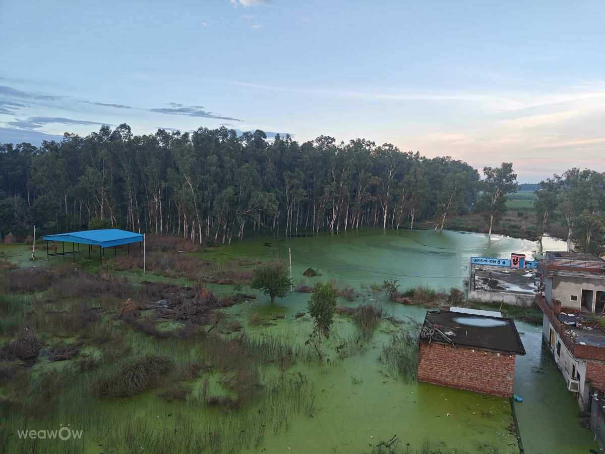 Фотографии Погоды в Харьяна. Прогнозы погоды с чудесными фотографиями, сделанными Ajaydeepsingh