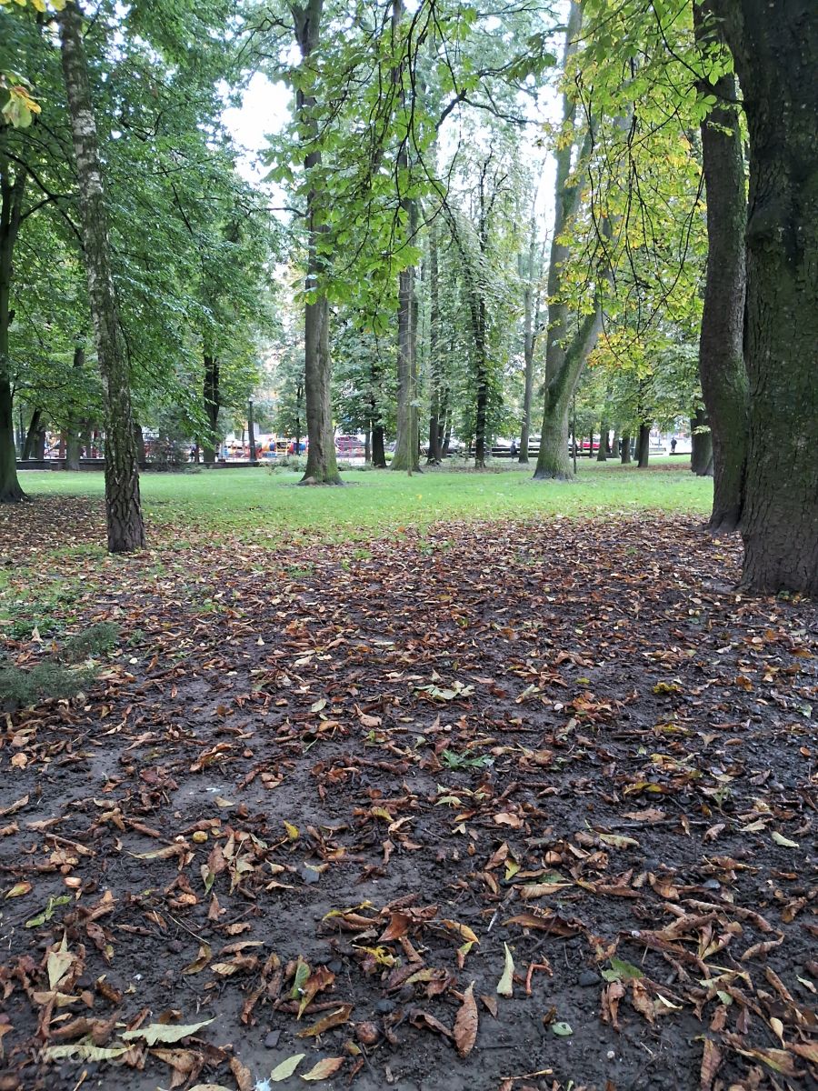 Fotos do tempo em Khmelnytskyi. Previsões do tempo com lindas fotos de urashm