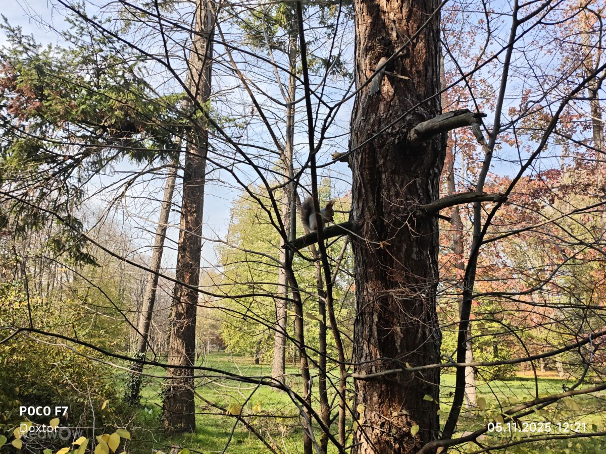 ロシアの天気写真. Doxtorの美しい写真による天気予報