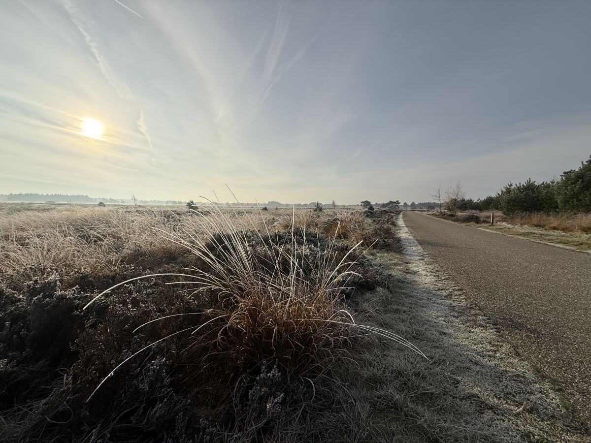 Weather Photos in The Netherlands. Weather forecasts with beautiful photos by Zjee