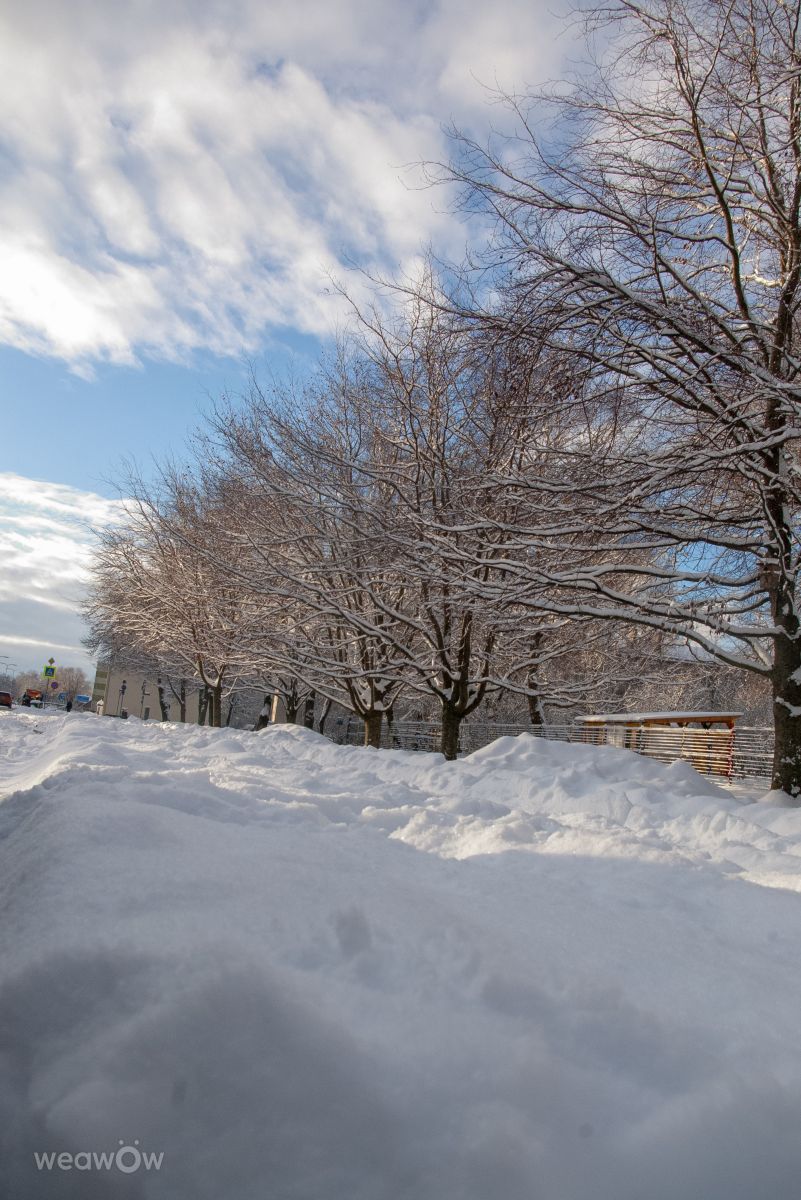 Weather Photos in Latvia. Weather forecasts with beautiful photos by Jaunskalze Raimonds