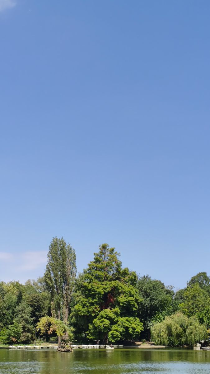 Weather Photos in Bucharest. Weather forecasts with beautiful photos by YanBog