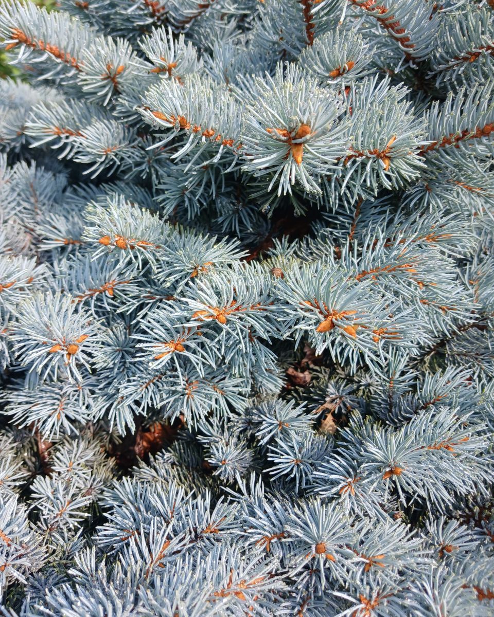 Фотографии Погоды в Краснодар. Прогнозы погоды с чудесными фотографиями, сделанными StanBarret