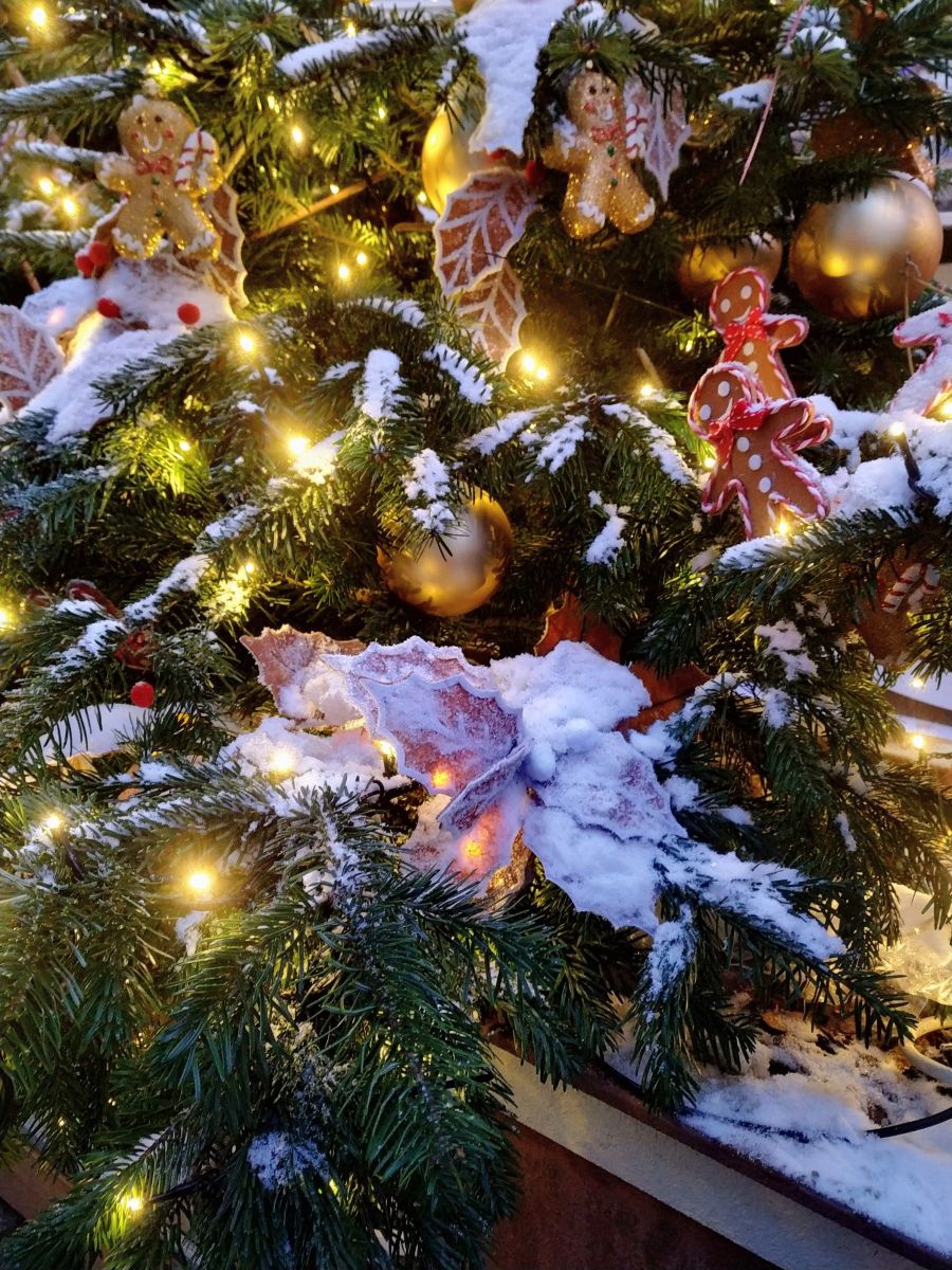 Фотографии Погоды в Москва. Прогнозы погоды с чудесными фотографиями, сделанными 19Lora46