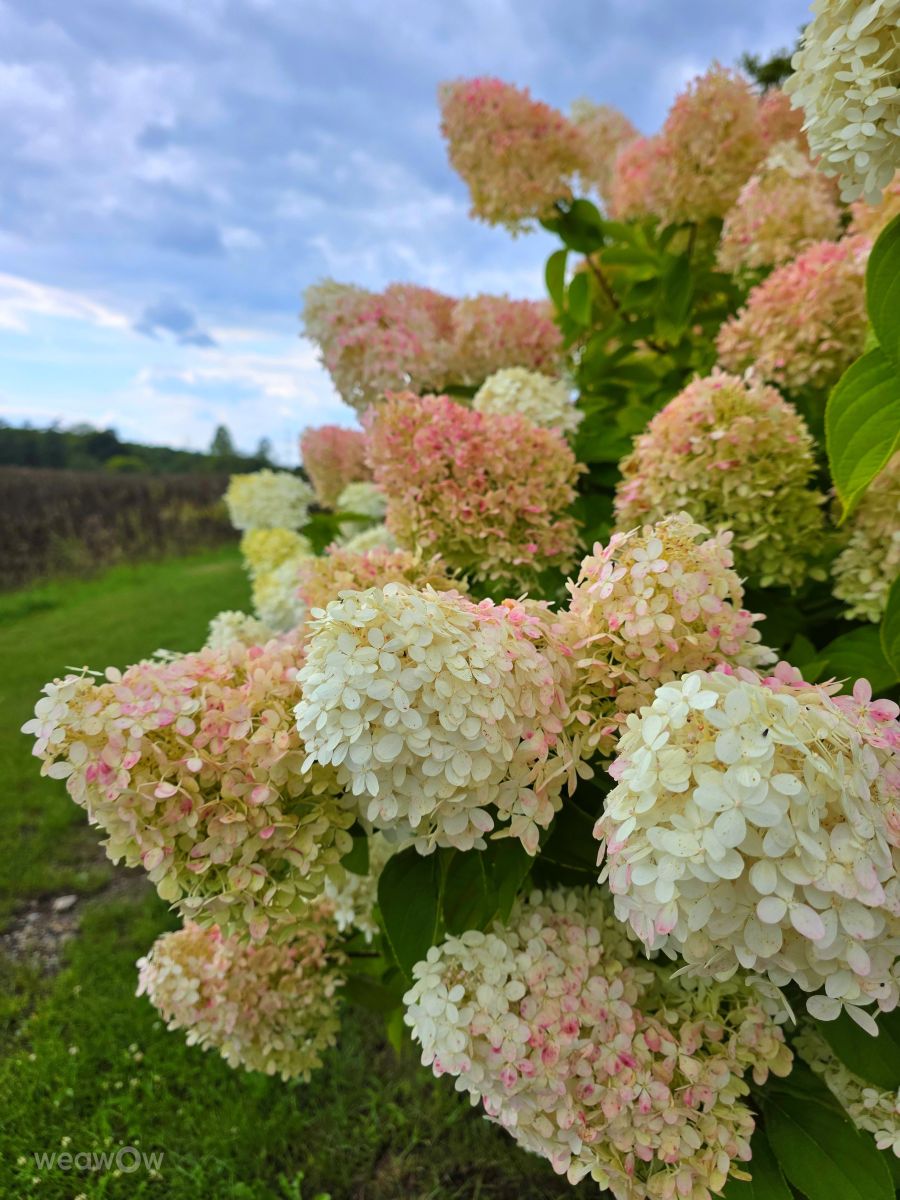 Wetter Photos Velbert. Wettervorhersagen mit schönen Fotos von Seni