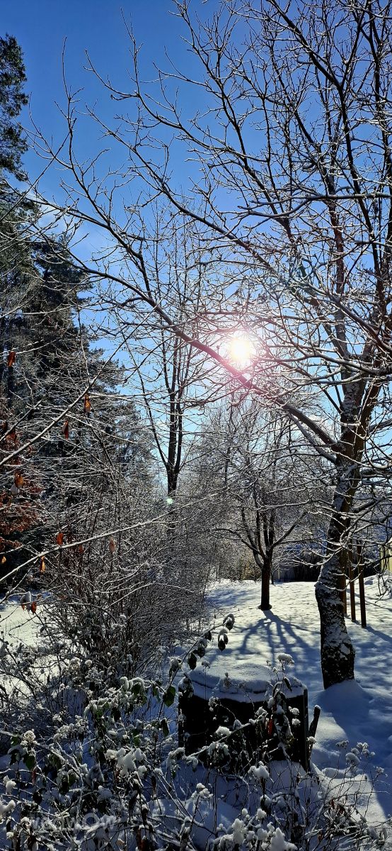 德国的天气照片. 天气预报，带Steffi316精美的照片