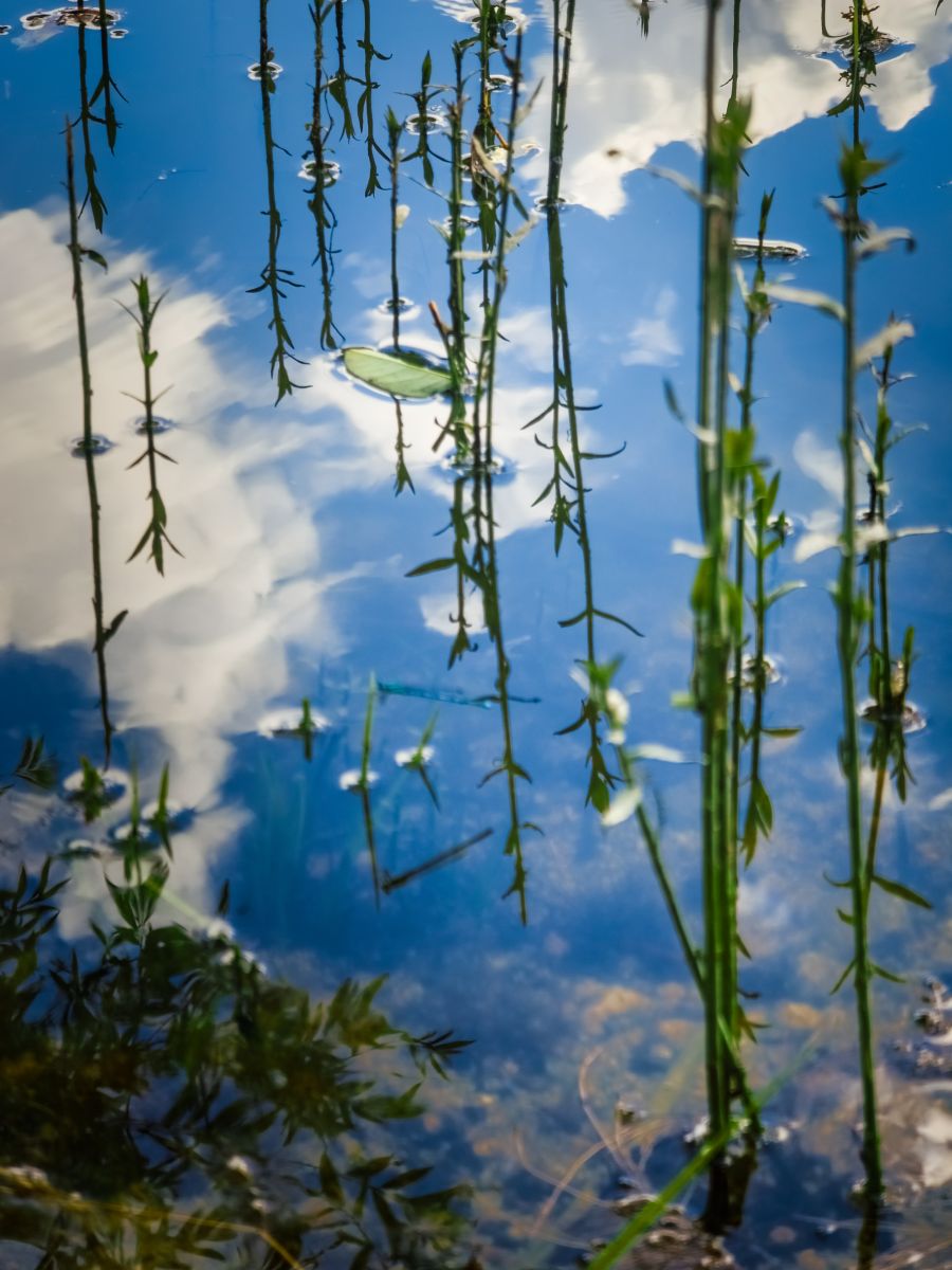 Weather Photos in France. Weather forecasts with beautiful photos by Bonzay