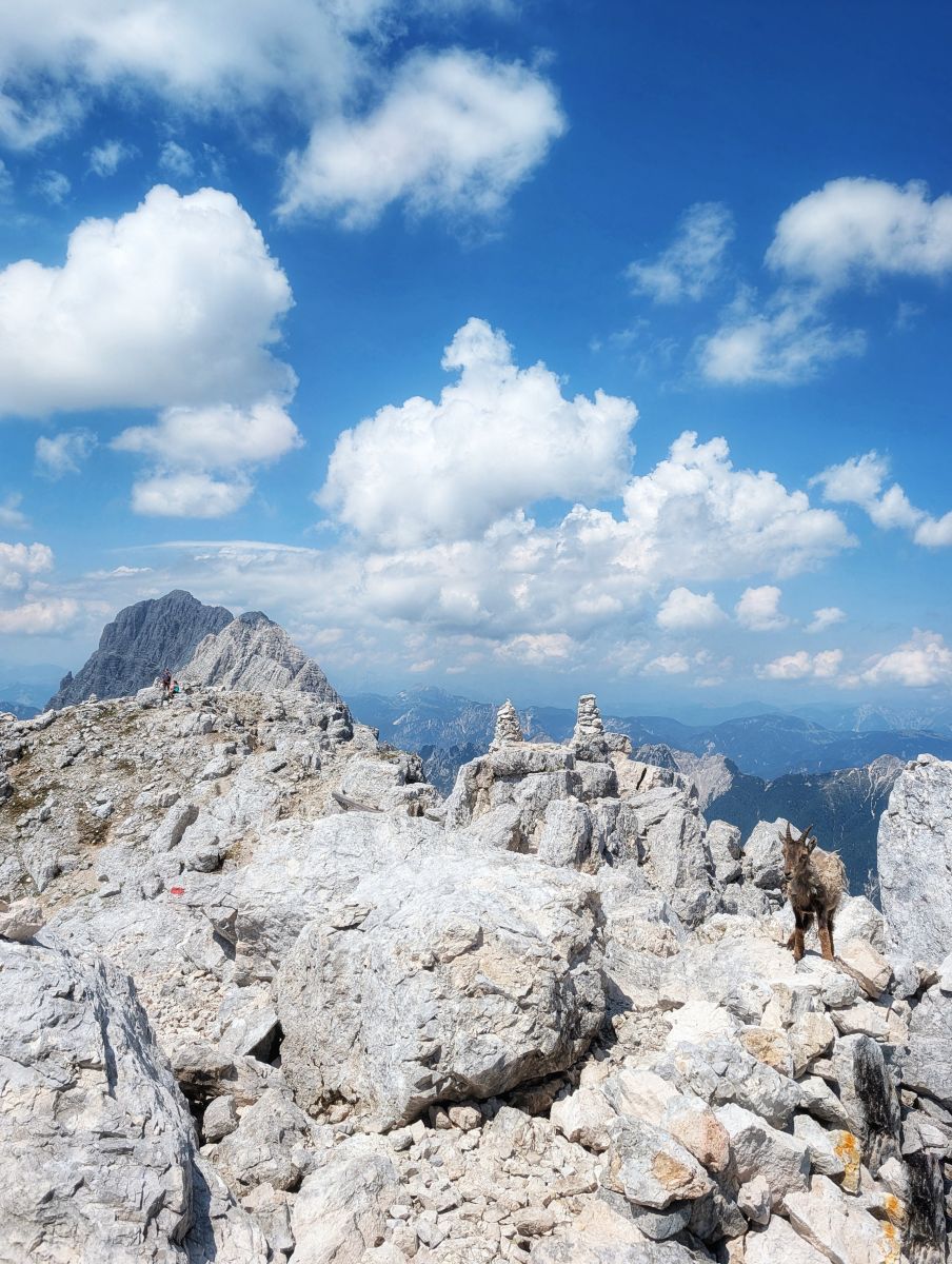 Weather forecasts with beautiful photos by Asarii