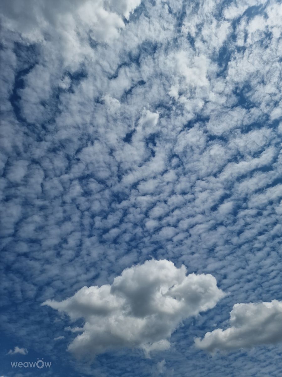 Fotos sobre el clima en Osinów Dolny. Pronósticos del tiempo con hermosas fotos de Sparass