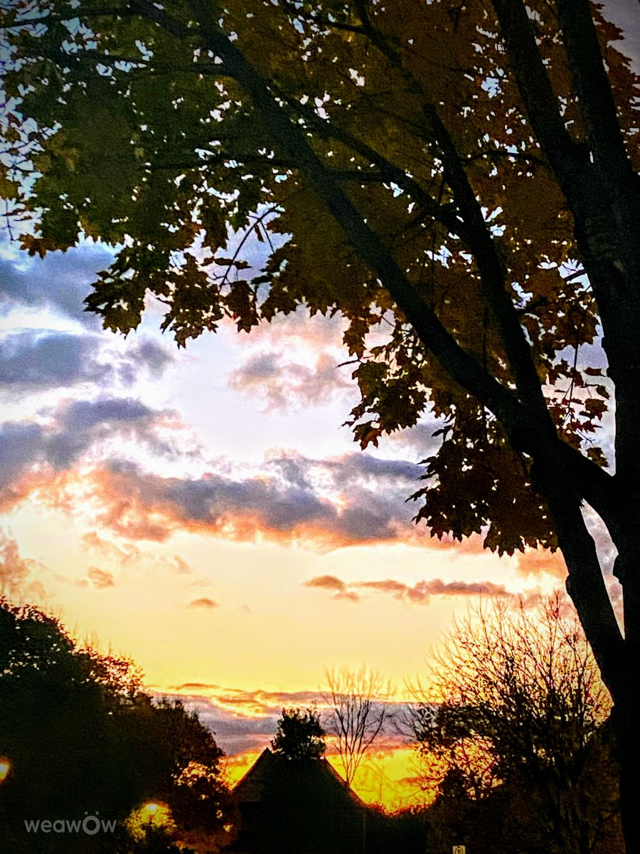 Фотограф Lulu5523, Фотографии Погоды в le Plateau - Weawow