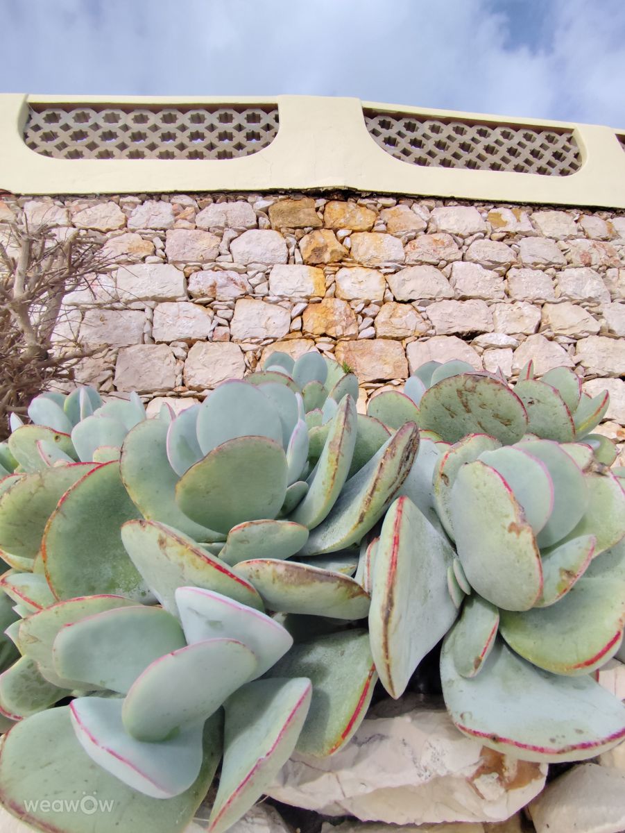 Фотографии Погоды в Praia do Carvoeiro. Прогнозы погоды с чудесными фотографиями, сделанными Brtd