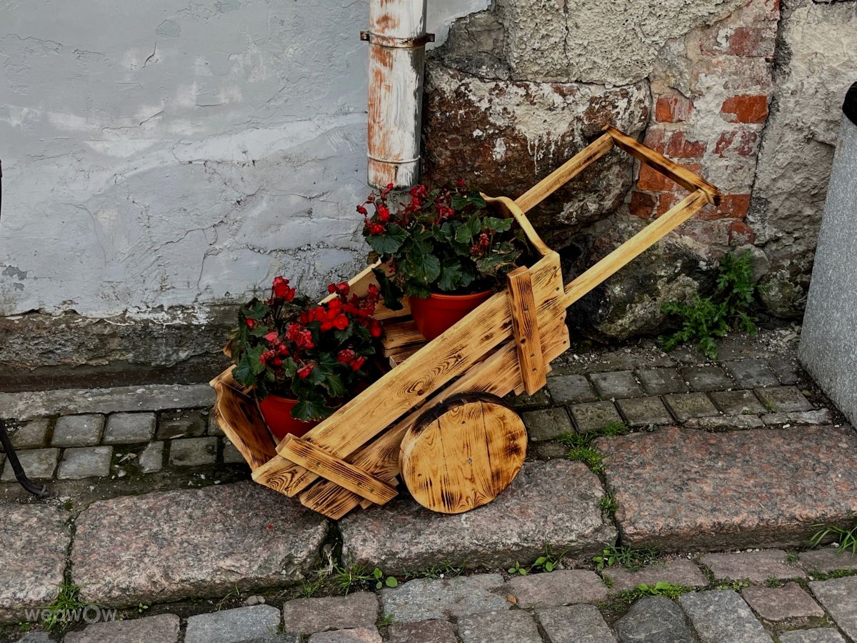 Fotos sobre el clima en San Petersburgo. Pronósticos del tiempo con hermosas fotos de Svetlana3