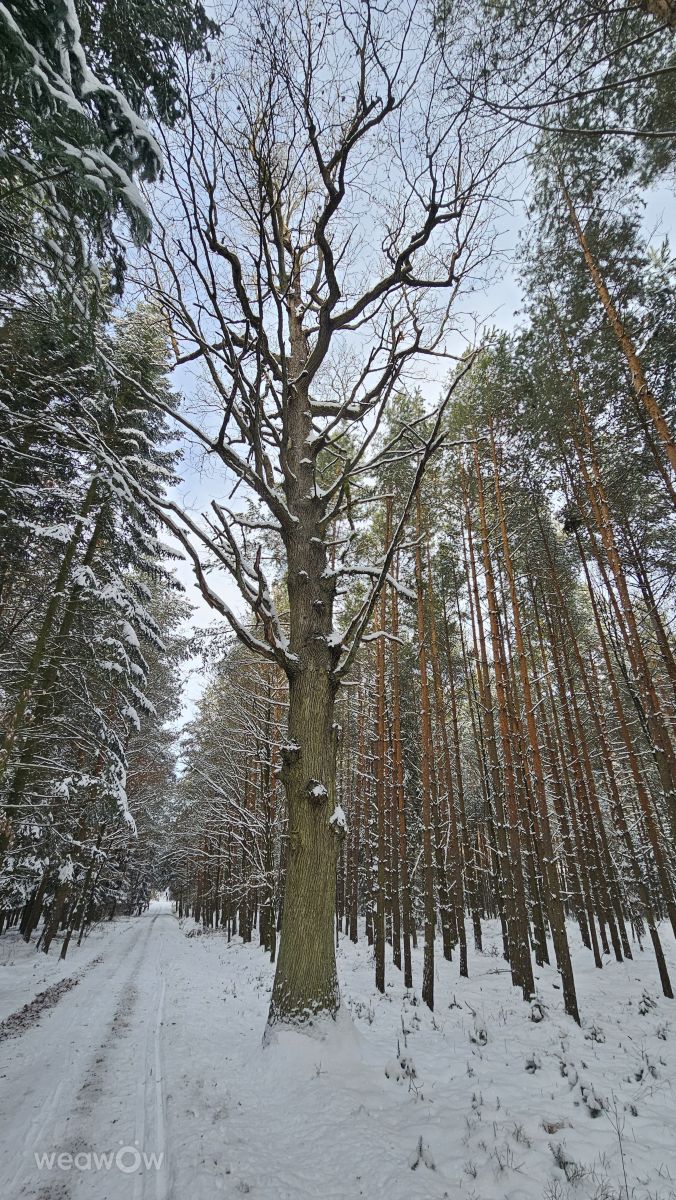 Fotos do tempo em Chéquia. Previsões do tempo com lindas fotos de FRANKenstein
