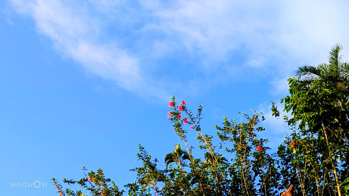 Weather Photos in French Polynesia. Weather forecasts with beautiful photos by Teuira