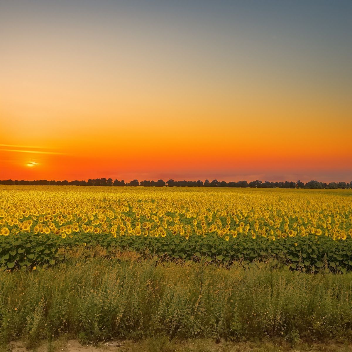 Фотографии Погоды в Бровары. Прогнозы погоды с чудесными фотографиями, сделанными Michael_1969