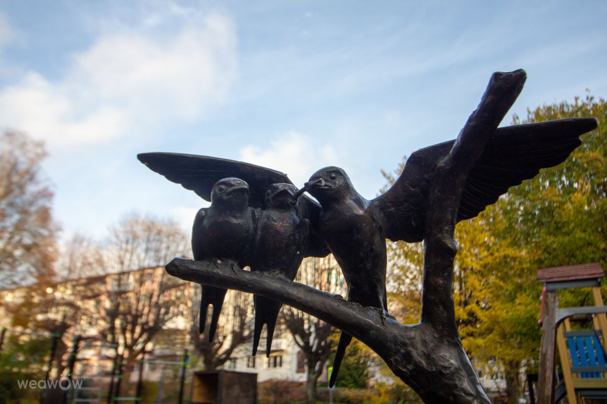 Fotos sobre el clima en Svetlogorsk. Pronósticos del tiempo con hermosas fotos de vintilator