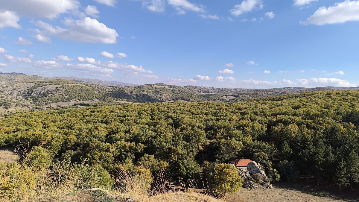 Фотографии Погоды в Чорум. Прогнозы погоды с чудесными фотографиями, сделанными Cankat