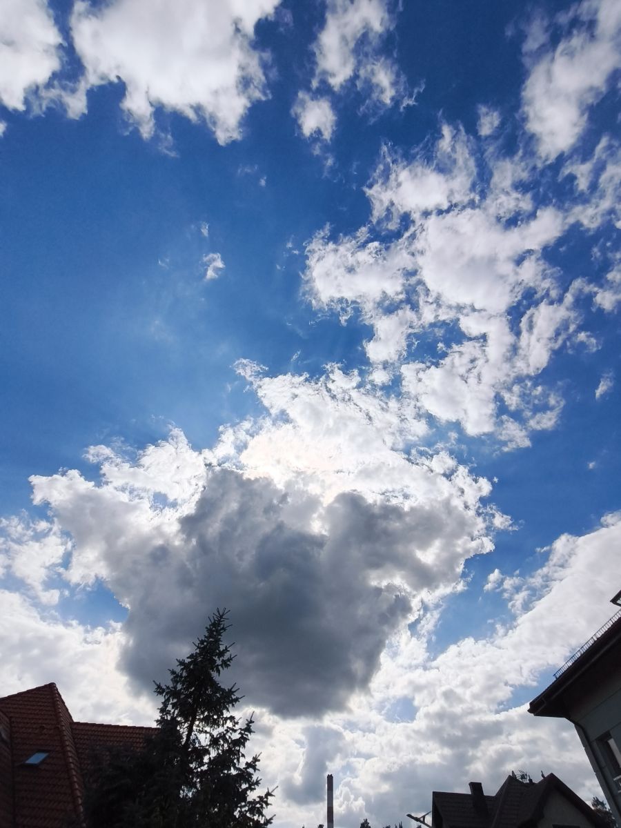 Weather Photos in Mazovia. Weather forecasts with beautiful photos by Nyuh