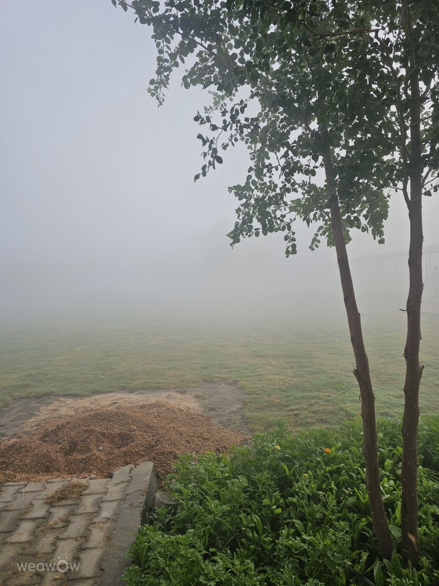 Wetter Photos Irak. Wettervorhersagen mit schönen Fotos von عطر الياسمين