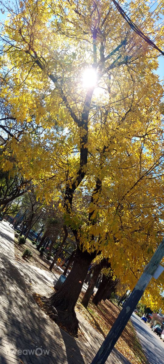 Hình ảnh Thời tiết ở Argentina. Dự báo thời tiết với những bức ảnh đẹp của Patry Cabrera Paz