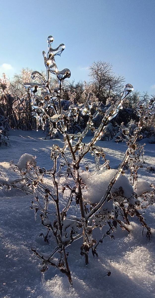 Фотографии Погоды в Киев. Прогнозы погоды с чудесными фотографиями, сделанными Michael_1969