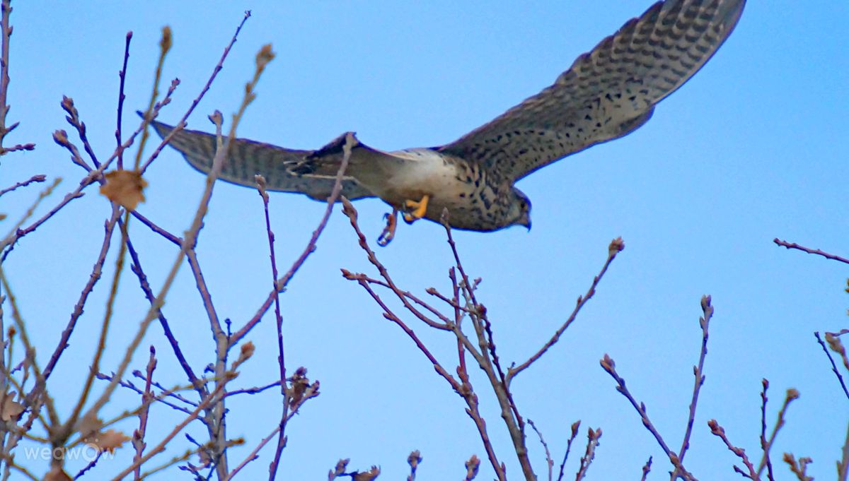 Weather Photos in Calvisson. Weather forecasts with beautiful photos by tony5636