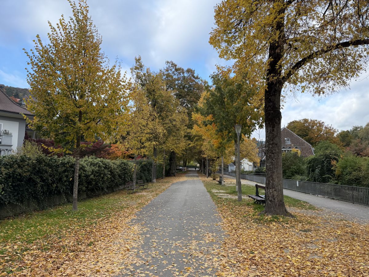 Photos météo à Bienne. Prévisions météo avec de superbes photos de SwissEloi