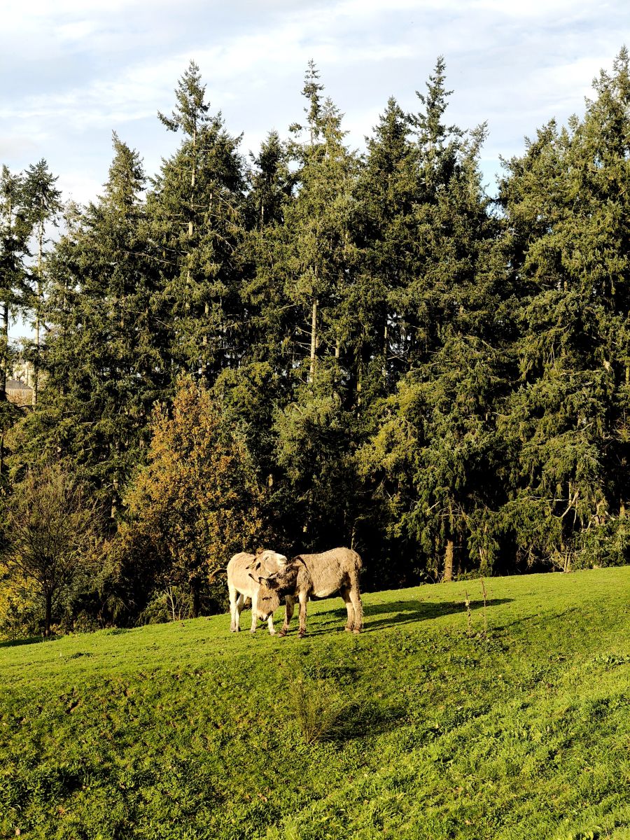 Photos météo à France. Prévisions météo avec de superbes photos de Reg