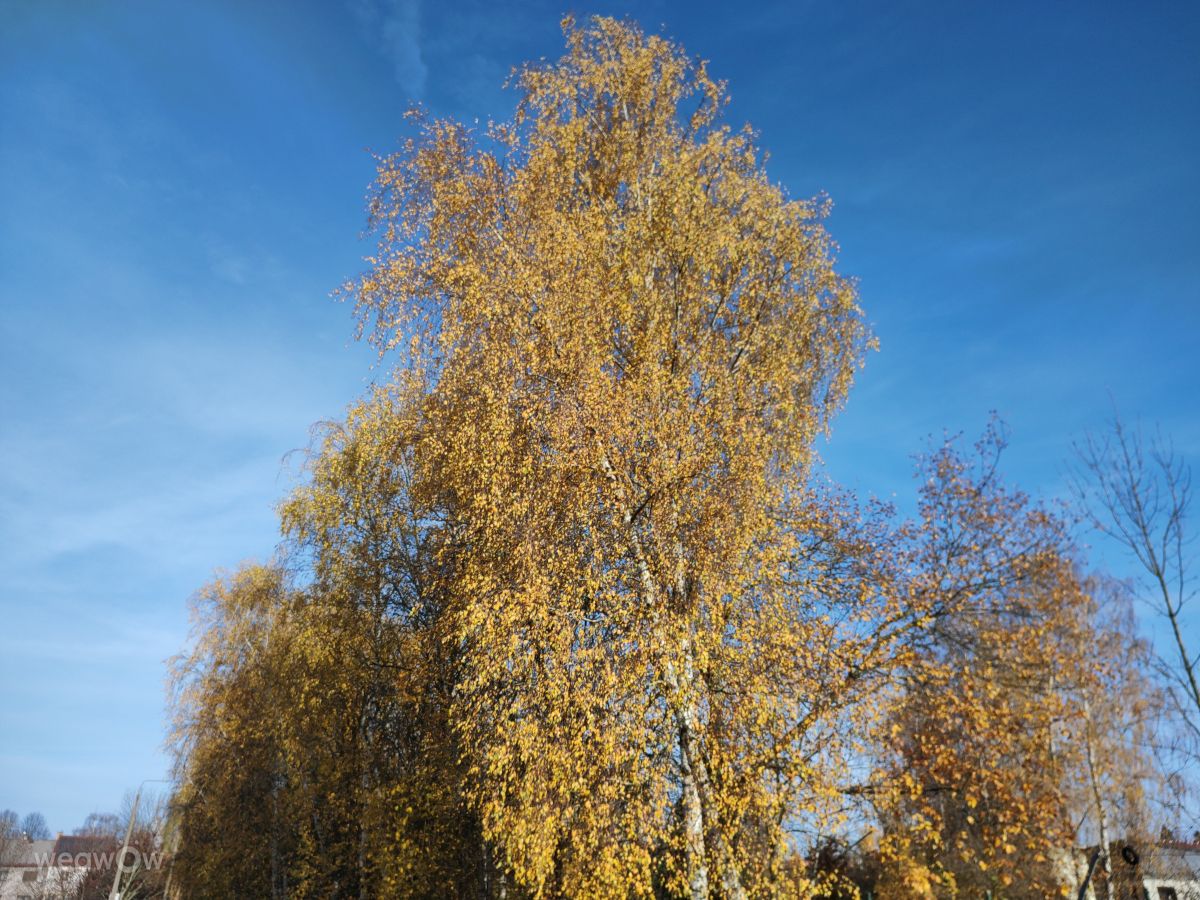 Fotografos drollted, Fotos do tempo em Česká Třebová - Weawow