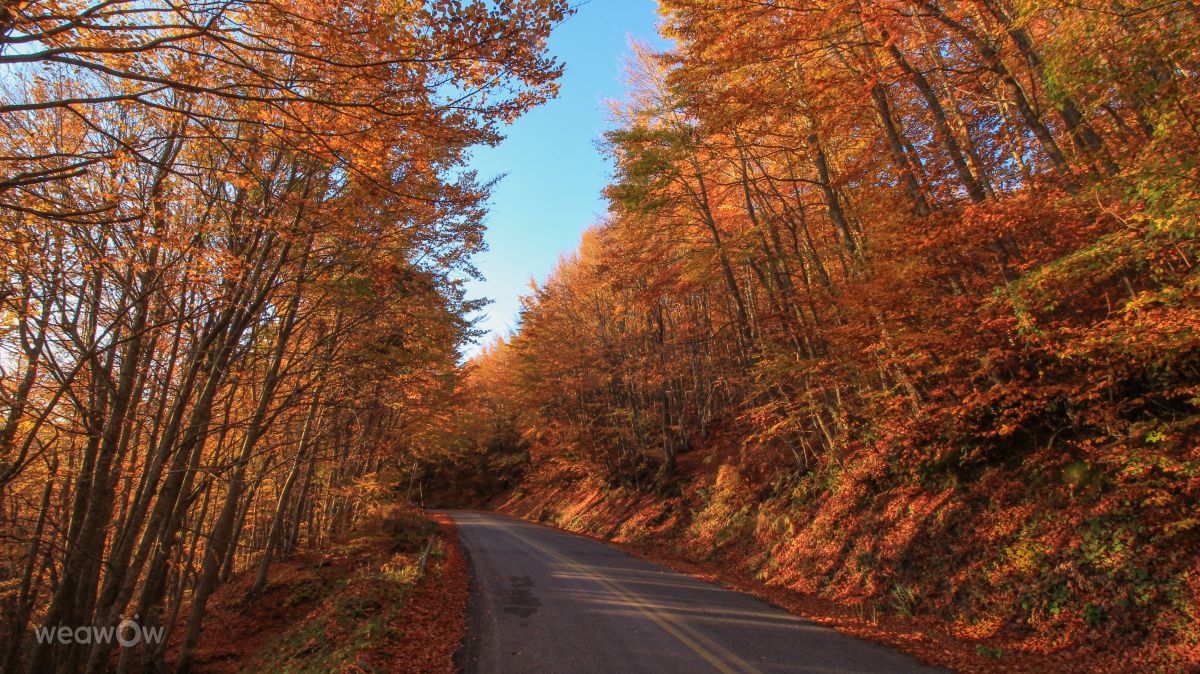 Прогнозы погоды с чудесными фотографиями, сделанными Antony_Bouchagier78