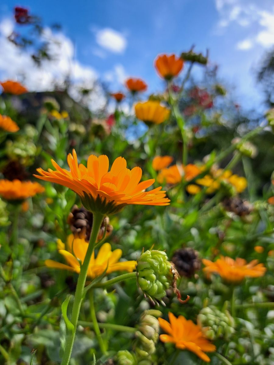 Weather Photos in Engelskirchen. Weather forecasts with beautiful photos by NikolausMinas