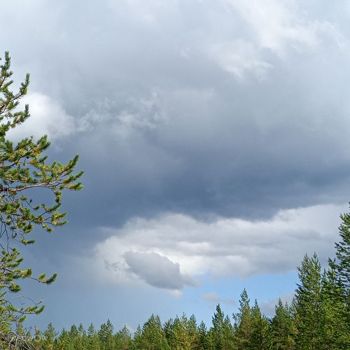 Hình ảnh Thời tiết ở Lapland. Dự báo thời tiết với những bức ảnh đẹp của Juki