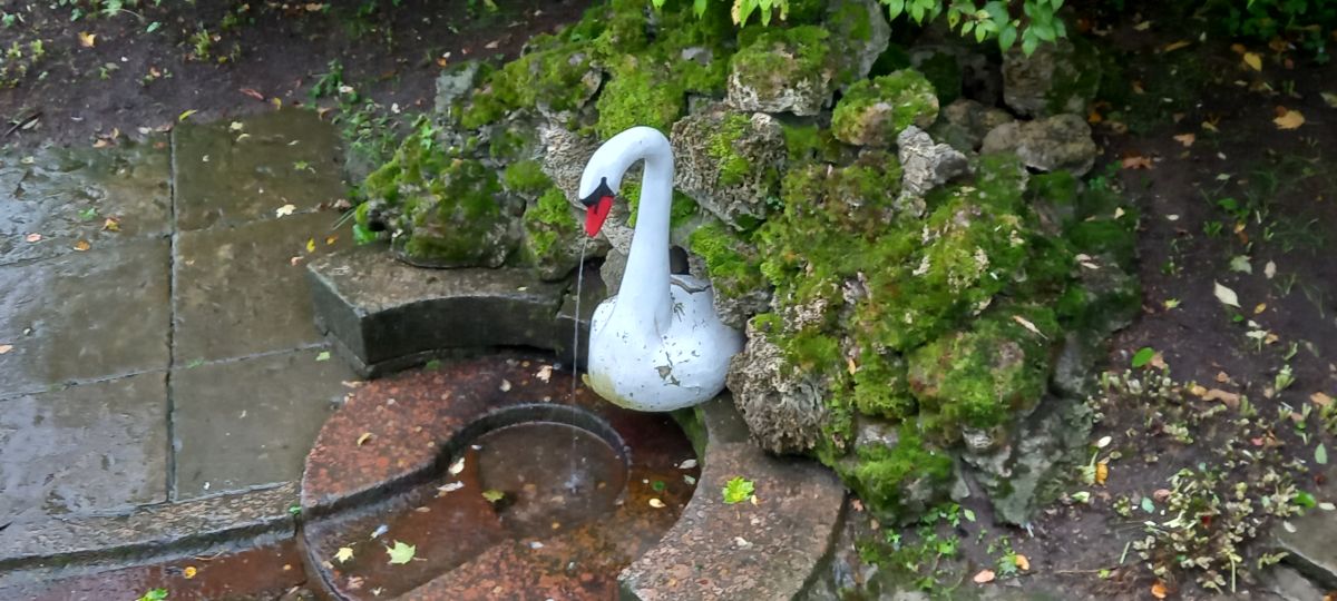 Fotógrafo Prohojiy, Fotos sobre el clima en Pushkin - Weawow
