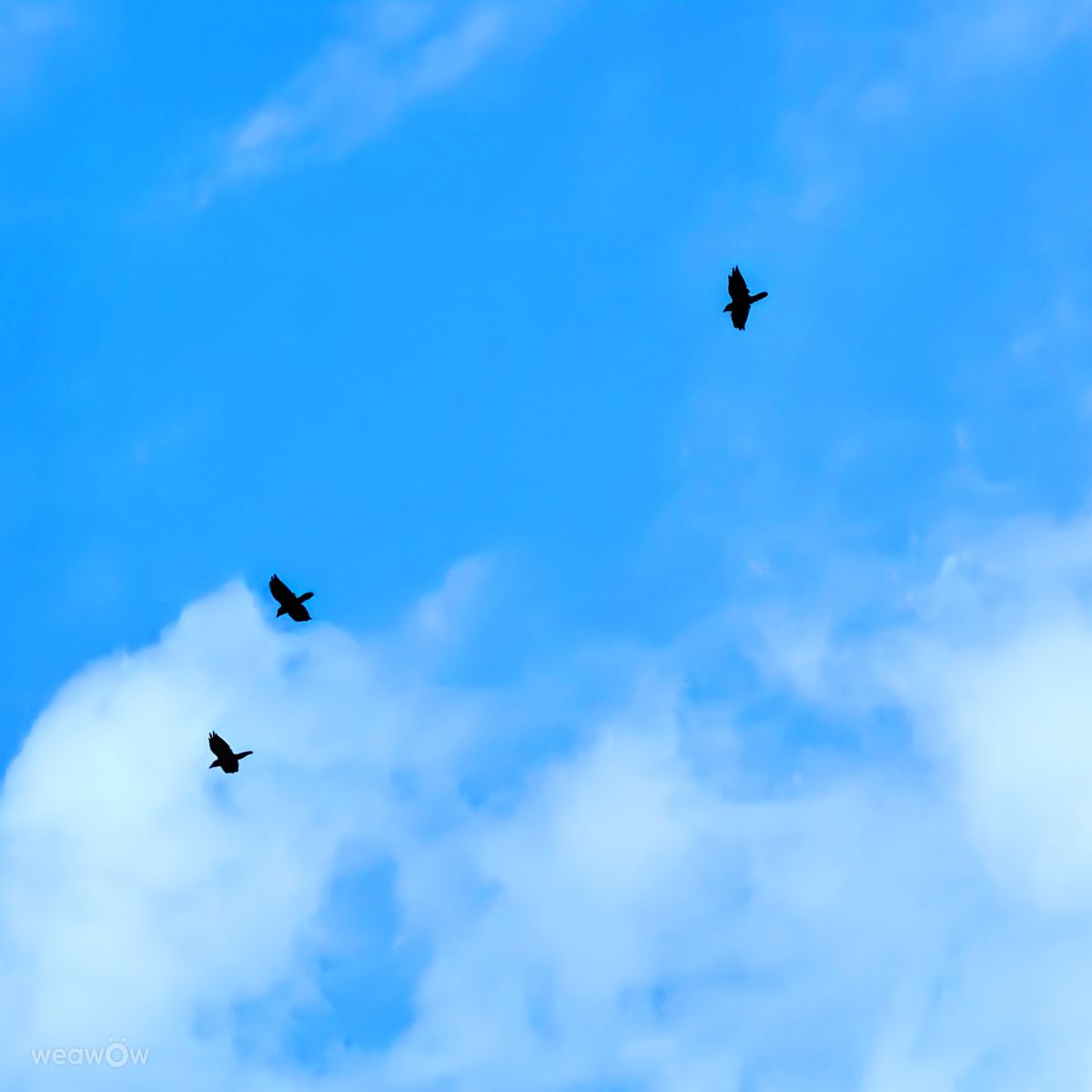Weather Photos in Canada. Weather forecasts with beautiful photos by Lulu5523