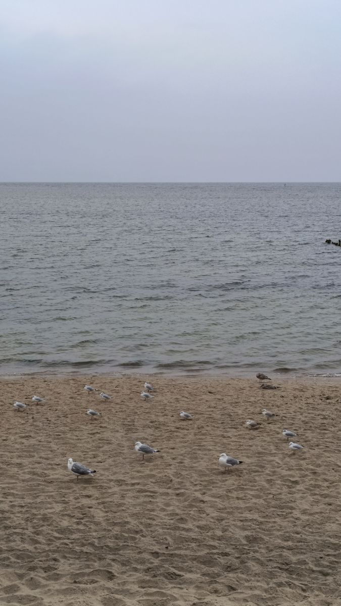 Hình ảnh Thời tiết ở Kaliningrad Oblast. Dự báo thời tiết với những bức ảnh đẹp của Михаил Бондаренко