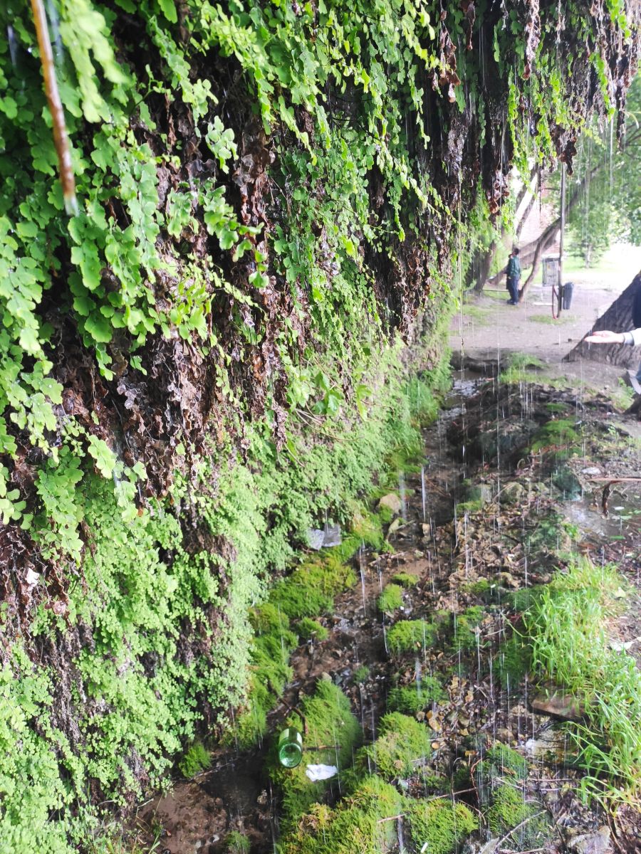 Hình ảnh Thời tiết ở Isani Street. Dự báo thời tiết với những bức ảnh đẹp của nika_toria