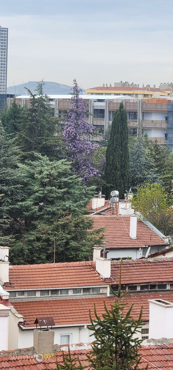 Photos météo à Ankara. Prévisions météo avec de superbes photos de BülentKuşhan