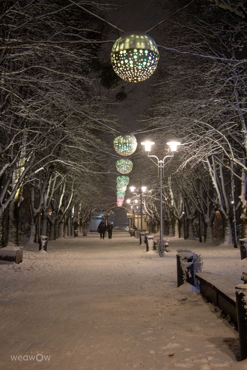 Weather Photos in Kaliningrad Oblast. Weather forecasts with beautiful photos by vintilator