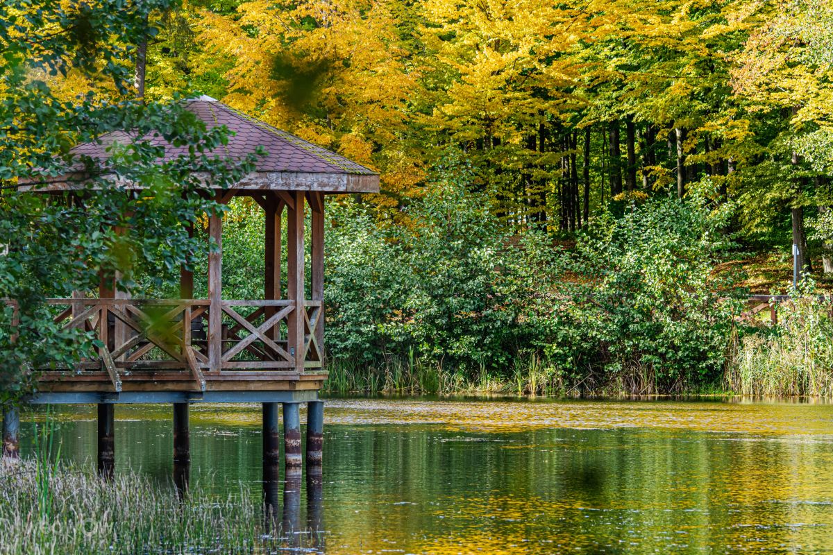 Fotos do tempo em Giżycko. Previsões do tempo com lindas fotos de Grzegorz Jakacki