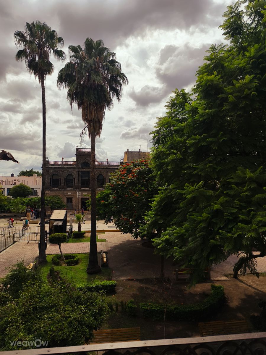 天气预报，带Giskz精美的照片