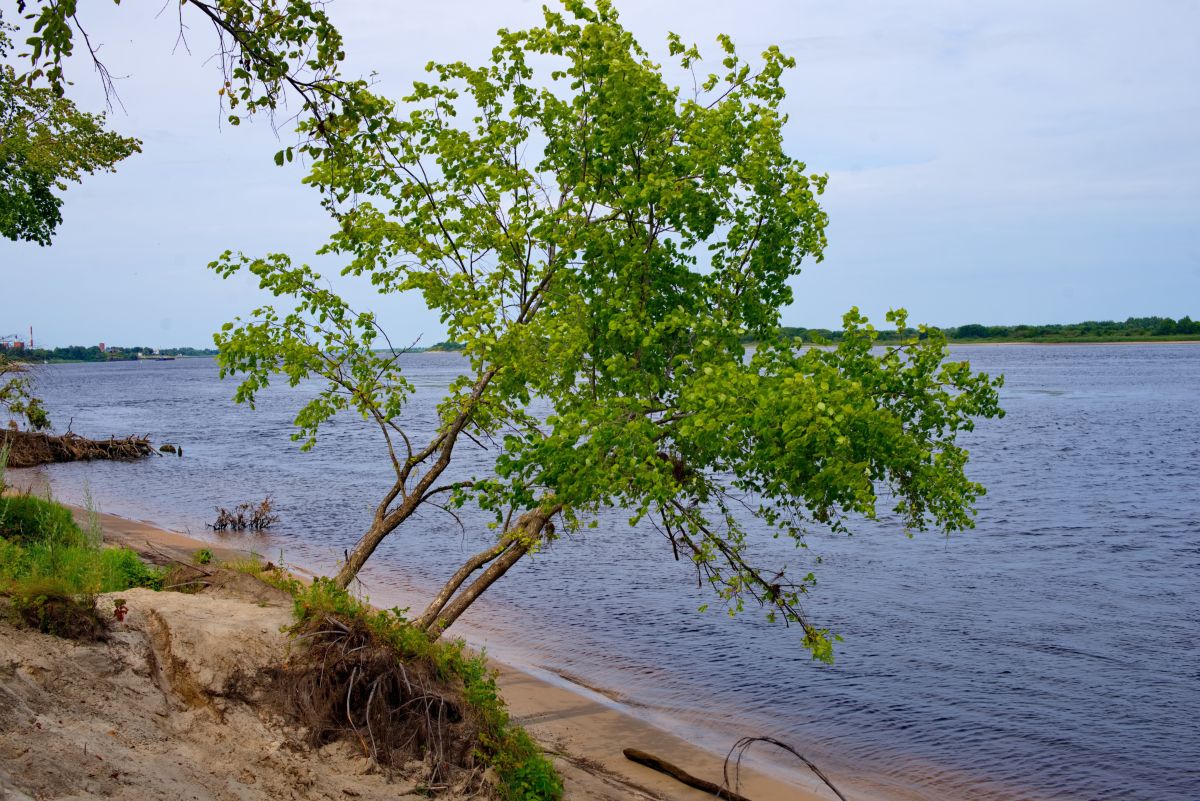 Фотографии Погоды в Нижегородская Область. Прогнозы погоды с чудесными фотографиями, сделанными Дмитрий_