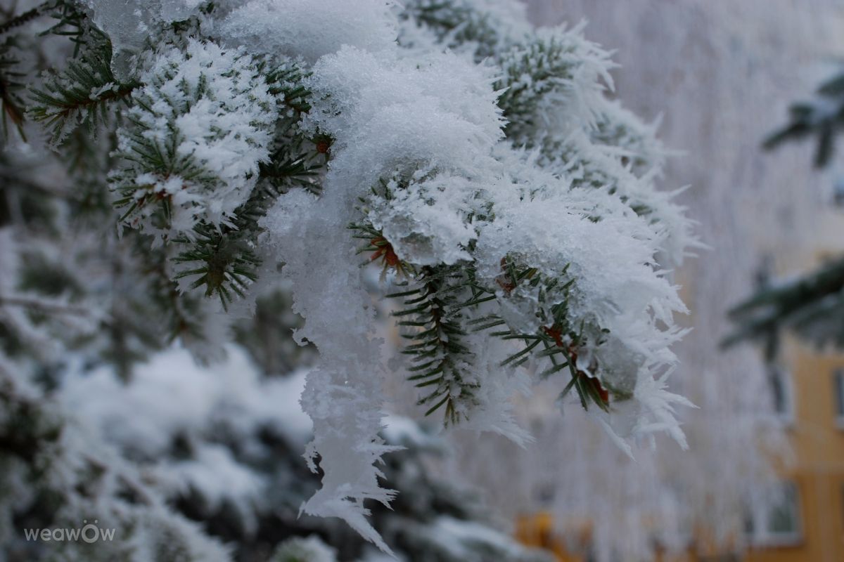 Hình ảnh Thời tiết ở Slovakia. Dự báo thời tiết với những bức ảnh đẹp của Marcela Cervenakova