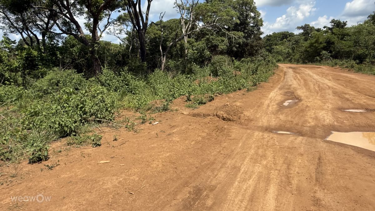 Weather Photos in DR Congo. Weather forecasts with beautiful photos by EVV_78